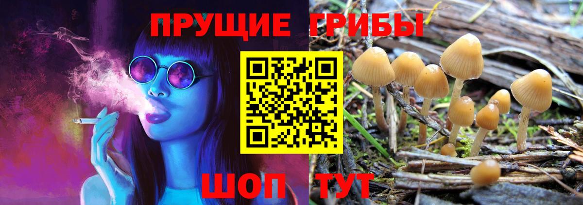 Псилоцибиновые грибы MAGIC MUSHROOMS  где купить наркотик  Ишимбай  Вход с VPN  Галлюциногенные грибы GOLDEN TEACHER 